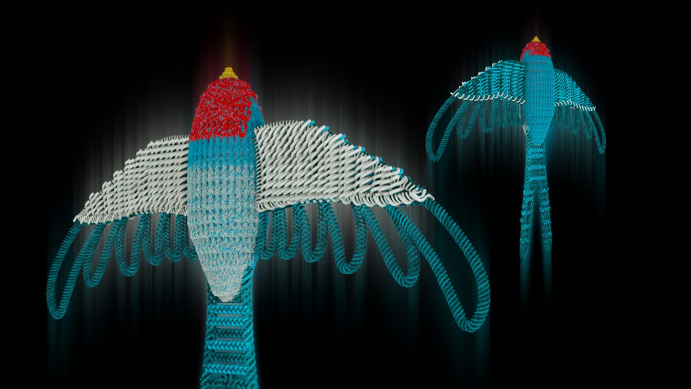 1550774912872golondrina-vendimia-2019