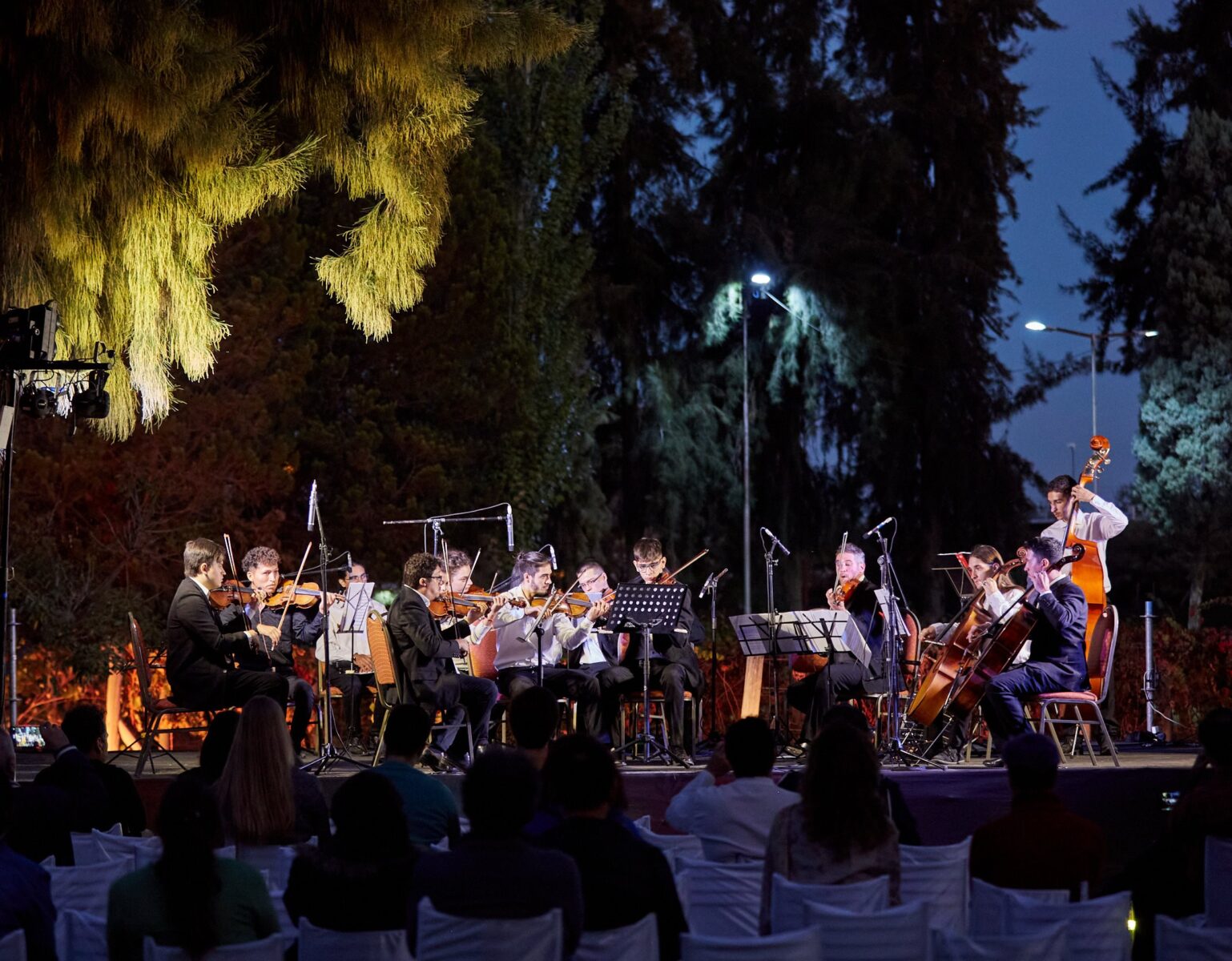 orquesta juvenil de camara (1)