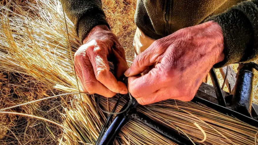 Captura de pantalla 2025-11-26 180515